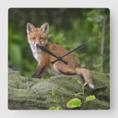 最も可愛い赤ん坊の動物 |フォキシスマイル スクエア壁時計 (正面)