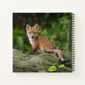 最も可愛い赤ん坊の動物 |フォキシスマイル ノートブック (裏面)