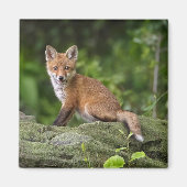 最も可愛い赤ん坊の動物 |フォキシスマイル マグネット (正面)