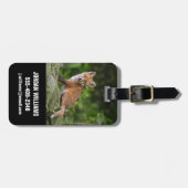 最も可愛い赤ん坊の動物 |フォキシスマイル ラゲッジタグ (正面横)