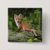 最も可愛い赤ん坊の動物 |フォキシスマイル 缶バッジ (正面)