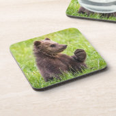 最も可愛い赤ん坊の動物 |ブラウンベアーキューブ波 コースター (左側)