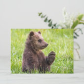 最も可愛い赤ん坊の動物 |ブラウンベアーキューブ波 サンキューカード (スタンド正面)