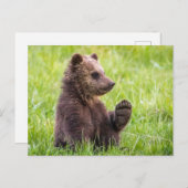 最も可愛い赤ん坊の動物 |ブラウンベアーキューブ波 ポストカード (正面/裏面)