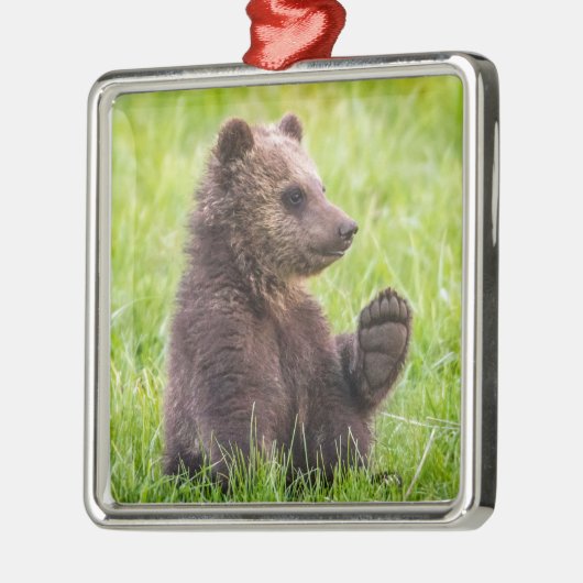 最も可愛い赤ん坊の動物 |ブラウンベアーキューブ波 メタルオーナメント (左)