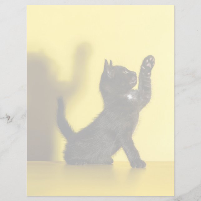 最も可愛い赤ん坊の動物 |ブラックキャット遊ズ (正面)