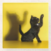 最も可愛い赤ん坊の動物 |ブラックキャット遊ズ ガラスコースター (正面)