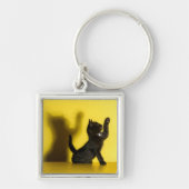 最も可愛い赤ん坊の動物 |ブラックキャット遊ズ キーホルダー (正面)