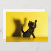 最も可愛い赤ん坊の動物 |ブラックキャット遊ズ サンキューカード (正面/裏面)