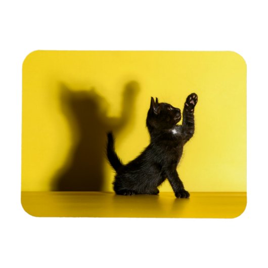 最も可愛い赤ん坊の動物 |ブラックキャット遊ズ マグネット (横)