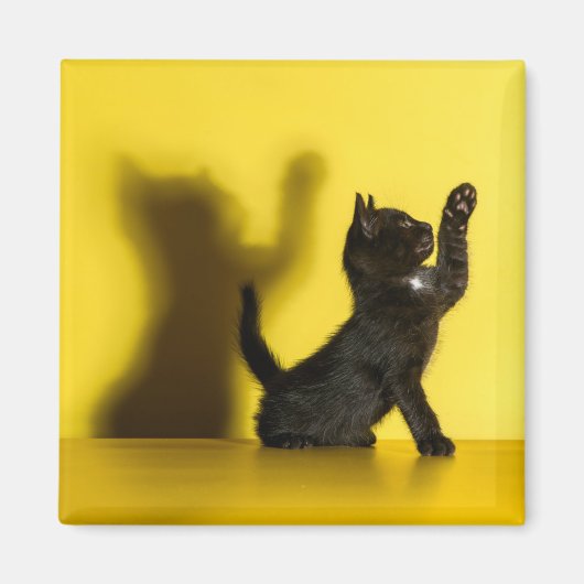 最も可愛い赤ん坊の動物 |ブラックキャット遊ズ マグネット (正面)