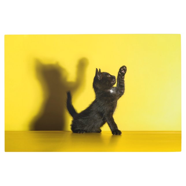 最も可愛い赤ん坊の動物 |ブラックキャット遊ズ メタルプリント (正面)