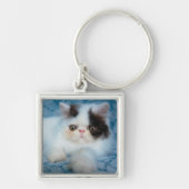 最も可愛い赤ん坊の動物 |ブラック&ホワイトの子猫 キーホルダー (正面)