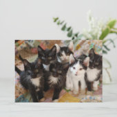 最も可愛い赤ん坊の動物 |ブラック&ホワイトの子猫 サンキューカード (スタンド正面)