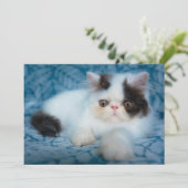 最も可愛い赤ん坊の動物 |ブラック&ホワイトの子猫 サンキューカード (スタンド正面)