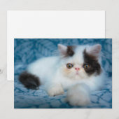 最も可愛い赤ん坊の動物 |ブラック&ホワイトの子猫 サンキューカード (正面/裏面)