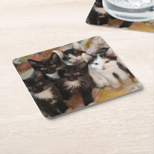 最も可愛い赤ん坊の動物 |ブラック&ホワイトの子猫 スクエアペーパーコースター (アングル)