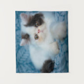 最も可愛い赤ん坊の動物 |ブラック&ホワイトの子猫 タペストリー (正面)