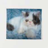 最も可愛い赤ん坊の動物 |ブラック&ホワイトの子猫 タペストリー (正面(横))