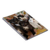 最も可愛い赤ん坊の動物 |ブラック&ホワイトの子猫 ノートブック (右側)