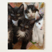 最も可愛い赤ん坊の動物 |ブラック&ホワイトの子猫 プランナー手帳 (裏面)