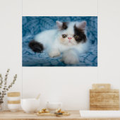 最も可愛い赤ん坊の動物 |ブラック&ホワイトの子猫 ポスター (キッチン)