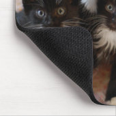 最も可愛い赤ん坊の動物 |ブラック&ホワイトの子猫 マウスパッド (コーナー)