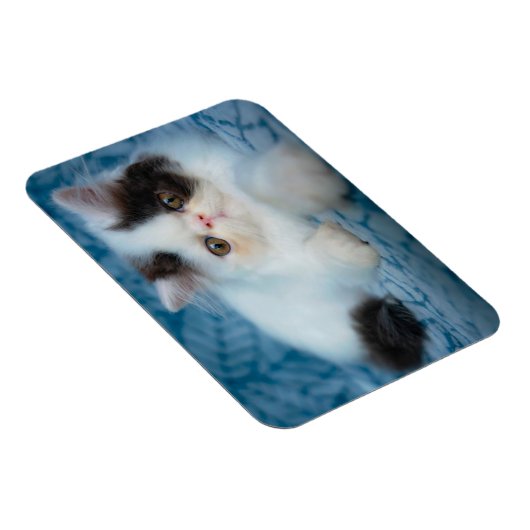 最も可愛い赤ん坊の動物 |ブラック&ホワイトの子猫 マグネット (右側)