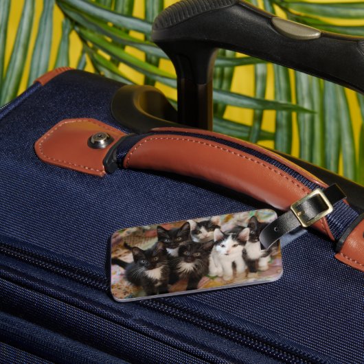 最も可愛い赤ん坊の動物 |ブラック&ホワイトの子猫 ラゲッジタグ (正面インサイチュ3)