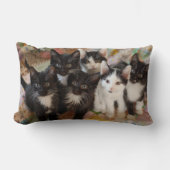 最も可愛い赤ん坊の動物 |ブラック&ホワイトの子猫 ランバークッション (正面)