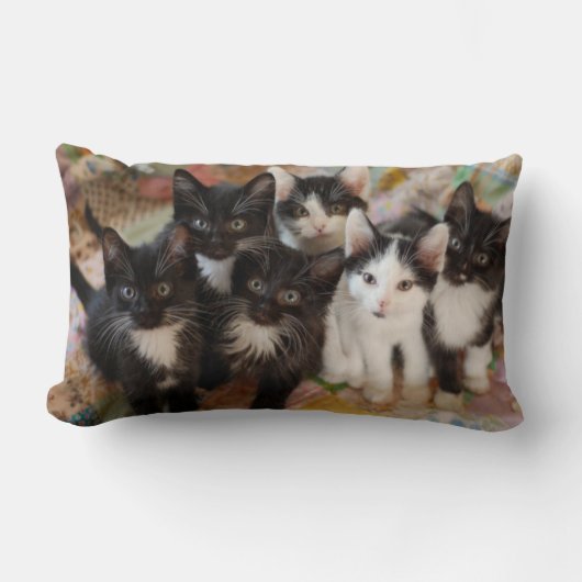 最も可愛い赤ん坊の動物 |ブラック&ホワイトの子猫 ランバークッション (正面)