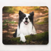 最も可愛い赤ん坊の動物 |ブラック&ホワイト縁どコリー マウスパッド (正面)