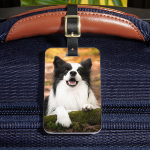 最も可愛い赤ん坊の動物  ブラック&ホワイト縁どコリー ラゲッジタグ