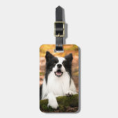 最も可愛い赤ん坊の動物 |ブラック&ホワイト縁どコリー ラゲッジタグ (正面縦)