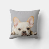 最も可愛い赤ん坊の動物 ブルドッグフランスのが横たわっていた|ブルドッグ クッション (裏面)