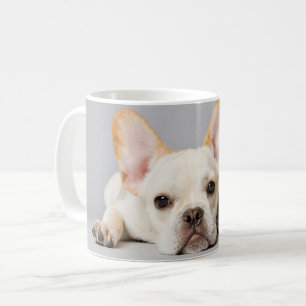 最も可愛い赤ん坊の動物 ブルドッグフランスのが横たわっていた ブルドッグ コーヒーマグカップ