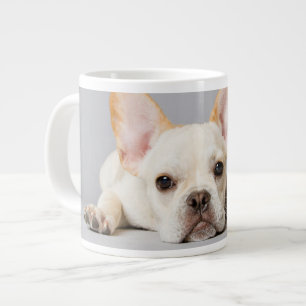 最も可愛い赤ん坊の動物 ブルドッグフランスのが横たわっていた ブルドッグ ジャンボコーヒーマグカップ