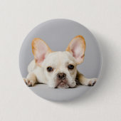 最も可愛い赤ん坊の動物 ブルドッグフランスのが横たわっていた|ブルドッグ 缶バッジ (正面)