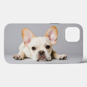 最も可愛い赤ん坊の動物 ブルドッグフランスのが横たわっていた ブルドッグ iPhone 13ケース