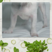 最も可愛い赤ん坊の動物 |ブルドッグフランスのの子犬 キッチンタオル (折り畳み)