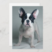 最も可愛い赤ん坊の動物 |ブルドッグフランスのの子犬 サンキューカード (正面/裏面)