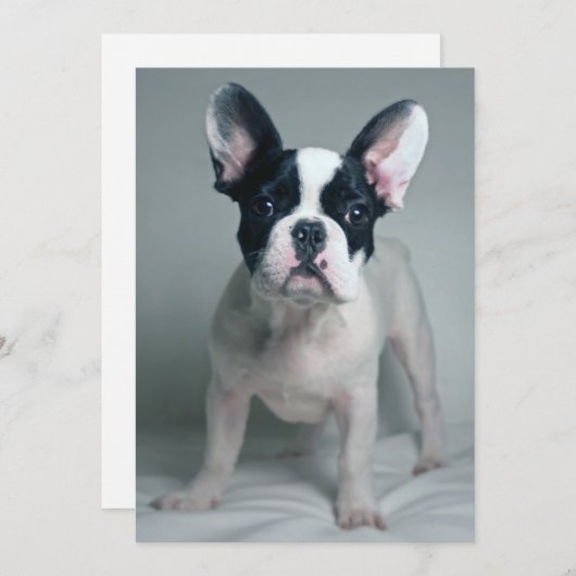 最も可愛い赤ん坊の動物 |ブルドッグフランスのの子犬 サンキューカード (正面/裏面)