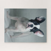 最も可愛い赤ん坊の動物 |ブルドッグフランスのの子犬 ジグソーパズル (横)