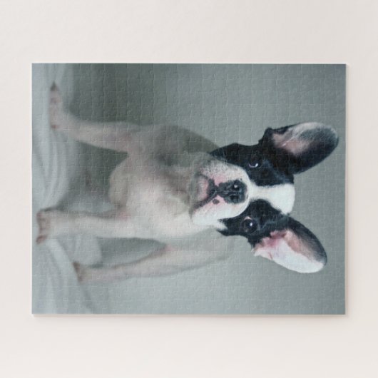 最も可愛い赤ん坊の動物 |ブルドッグフランスのの子犬 ジグソーパズル (横)