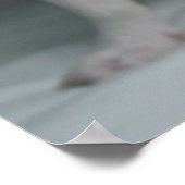 最も可愛い赤ん坊の動物 |ブルドッグフランスのの子犬 ポスター (角)