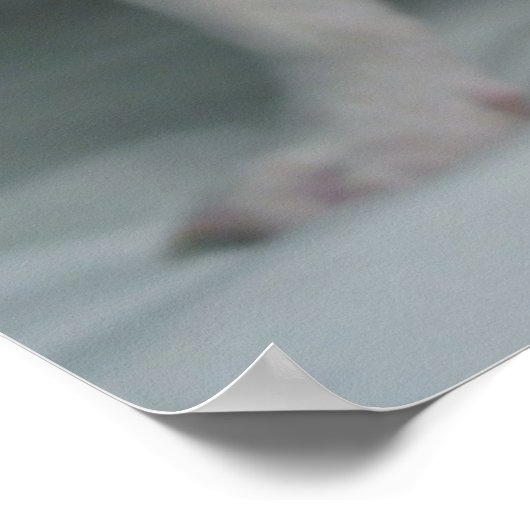 最も可愛い赤ん坊の動物 |ブルドッグフランスのの子犬 ポスター (角)