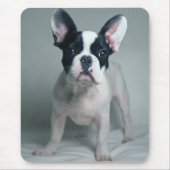 最も可愛い赤ん坊の動物 |ブルドッグフランスのの子犬 マウスパッド (正面)