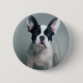 最も可愛い赤ん坊の動物 |ブルドッグフランスのの子犬 缶バッジ (正面)