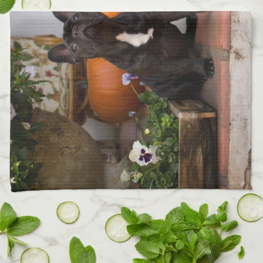 最も可愛い赤ん坊の動物 |ブルドッグフランスのハロウィーン キッチンタオル (折り畳み)