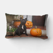 最も可愛い赤ん坊の動物 |ブルドッグフランスのハロウィーン ランバークッション (裏面)